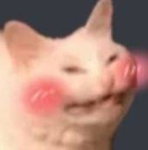 Meet your Posher, Shuan - Picture 1 of 1